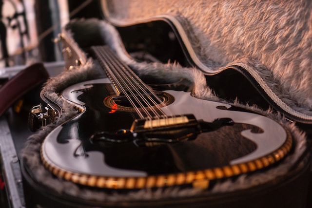guitar cases